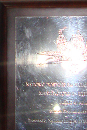 National Business Excellence Awards (Manufacturing Other Sector) - 2008 (Merit Award)