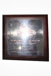 National Business Excellence Awards (Manufacturing Other Sector) - 2008 (Merit Award)