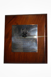 National Business Excellence Awards (Manufacturing Other Sector) - 2011 (Merit Award)
