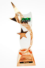 Star Points Winner Highest Growth in Transaction (Multiple outlet category) - 2010