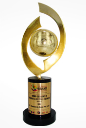 Global Awards for Brand Excellence - 2012 (Fashion & Life Style - Footwear (DSI) - DSS)